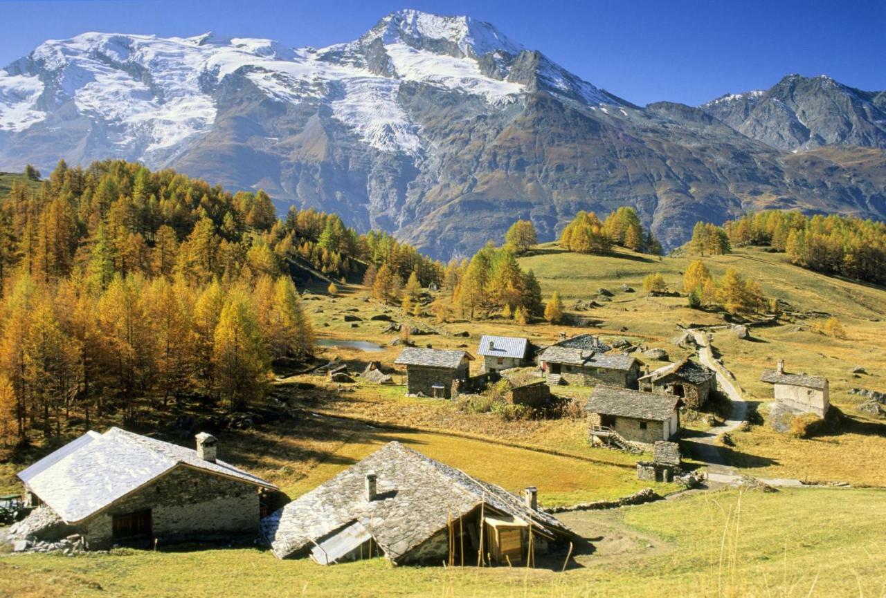 Appartement Arpege Des Neiges à Sainte-Foy-Tarentaise Extérieur photo